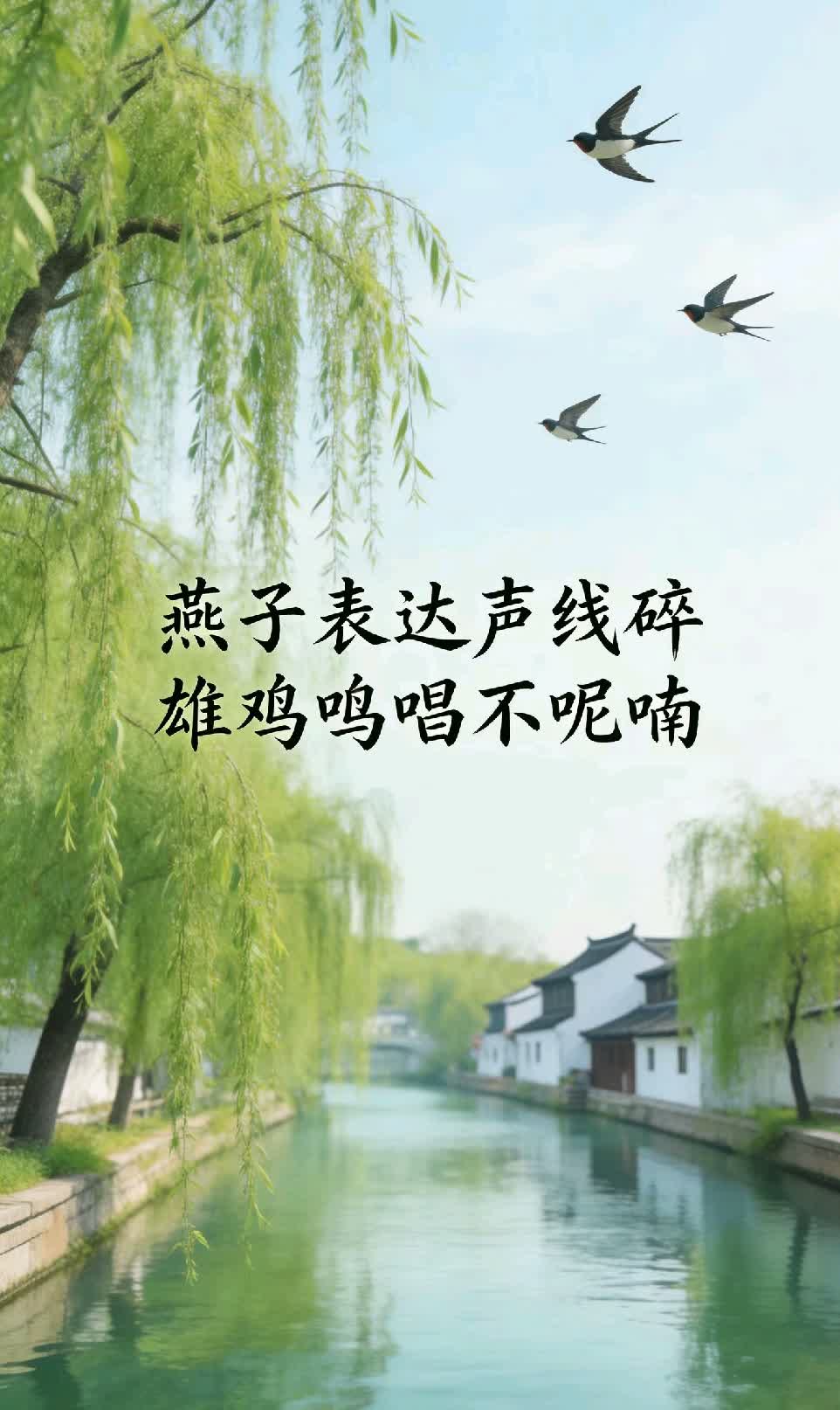 一次“午后修行”的日记