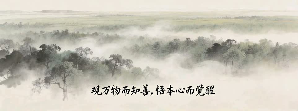 善法：万物是觉悟的解