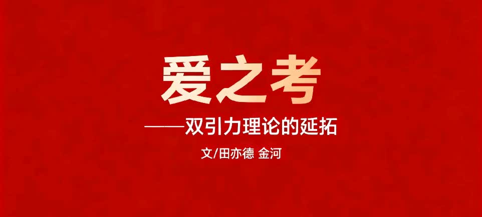 爱之考——双引力理论的延拓