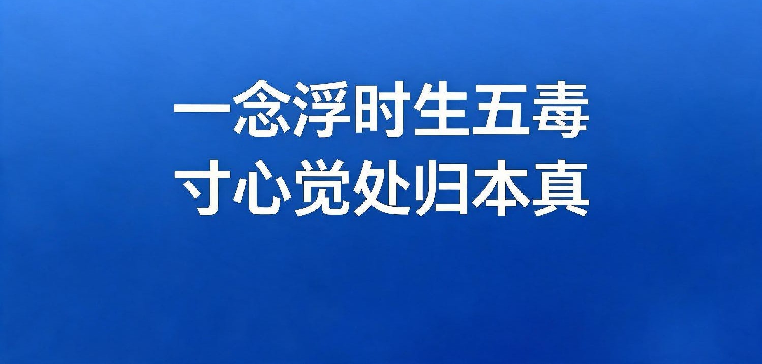 德师茶唠：“贪嗔痴慢疑”小故事